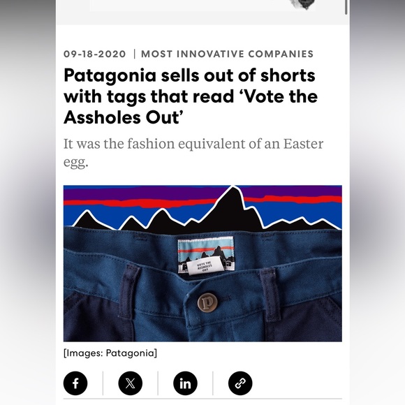 Patagonia Pants - LIMITED EDITION Patagonia NWOT Stand up Shorts